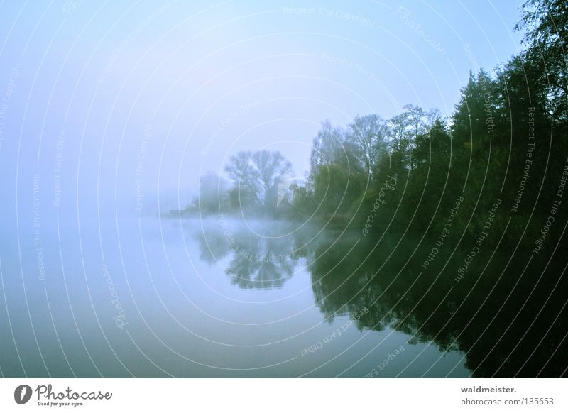 Nebel am See blau grün Gewässer Himmel Baum Reflexion & Spiegelung Morgen Dämmerung Morgennebel Herbst kalt mystisch Romantik ruhig Angeln Wasser