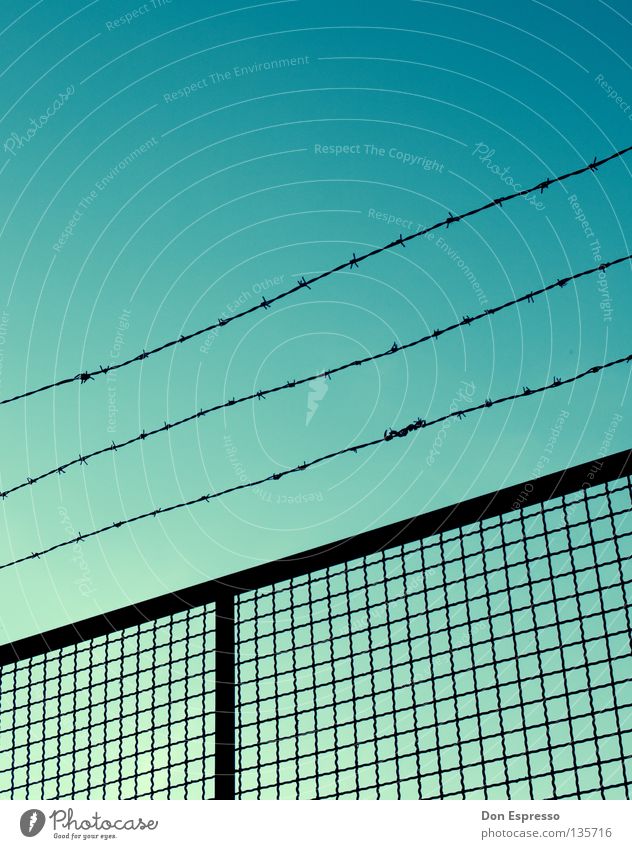 FREEDOM Stacheldraht Zaun gefangen Justizvollzugsanstalt Mauer bewachen Guantanamo Haftstrafe Sträfling Wolken Sicherheit einsperren Krimineller Bootcamp