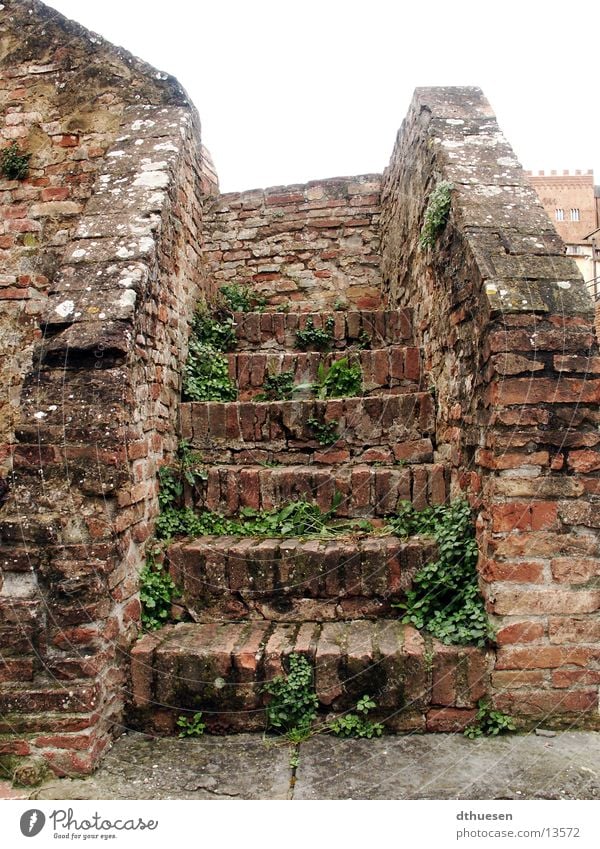Steintreppe in Sienna (Italien) Backstein rot bewachsen verfallen Gemäuer Architektur Treppe alt Wirldwuchs Siena Einsamkeit