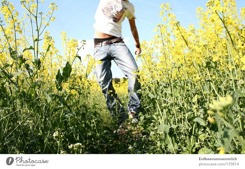 Ohne Kopf in die Welt Mann Rapsöl Sommer Feld springen grün bauchfrei fantastisch Freude Typ Blumenfel Jeands Freiheit blau Himmel Blauer Himmel Glück