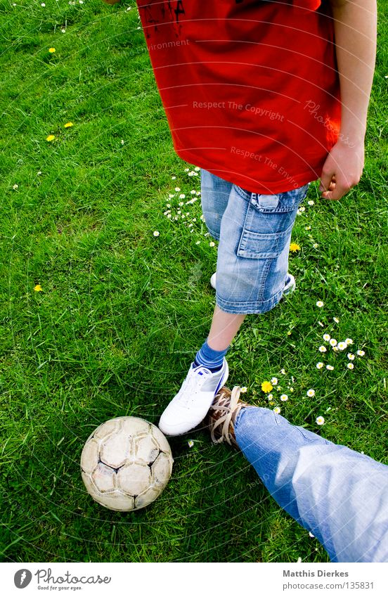 Grätschen Ballsport Sommer Wiese Gänseblümchen Pflanze grün Grünstich Hose Jeanshose Schuhe Lederschuhe Fußball Freizeit & Hobby spontan Sport Luft Duell