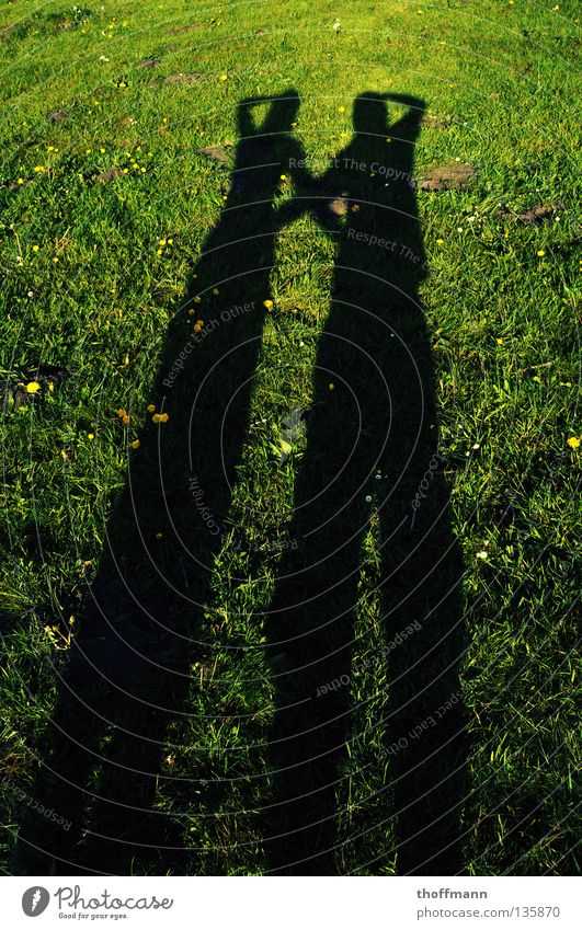 Na wer macht das Foto? :D lang gezogen Weitwinkel gekreuzt Wiese Blume Gänseblümchen Löwenzahn Vertrauen Sommer Paar Sonne Abend Schatten Arme Rücken