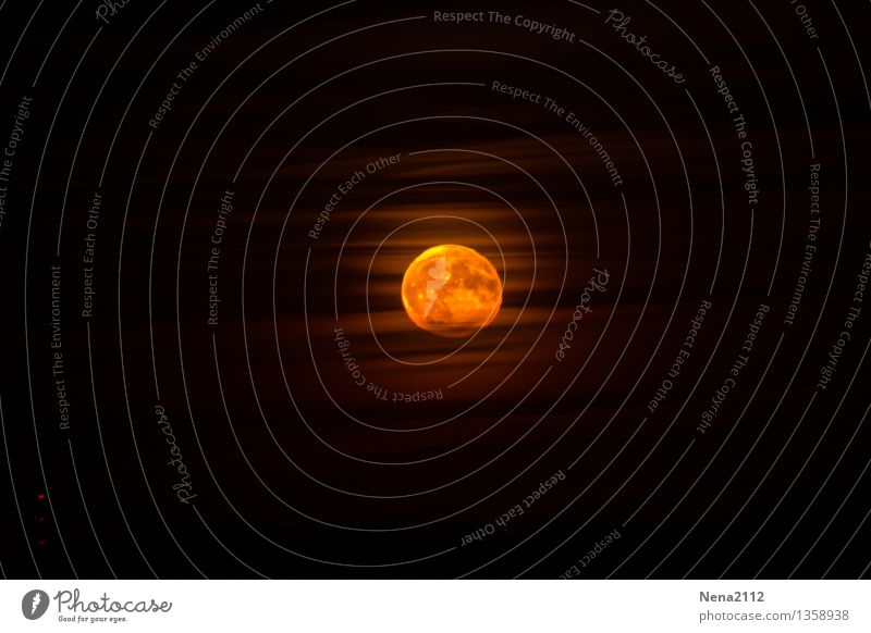Vollmond Umwelt Luft Himmel Wolken Nachthimmel Mond Schönes Wetter fantastisch rund gelb gold orange Mysterium Mondschein Mondaufgang Mondsüchtig NASA Weltall