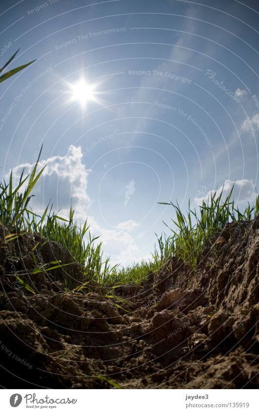 Ein tiefer Einblick! Sommer trocken Gras Gegenlicht braun Sonne Himmel Erde Graben Braunkohlentagebau hell ökö blau