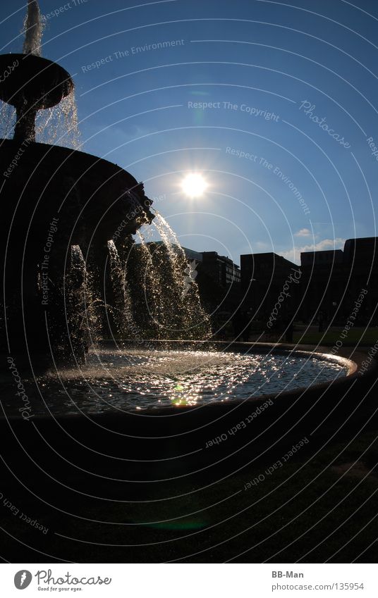 Sonnenquelle Brunnen Licht Reflexion & Spiegelung schwarz Quelle Silhouette Geplätscher glänzend gelb schön Sommer Physik Außenaufnahme Wasser Himmel Garten