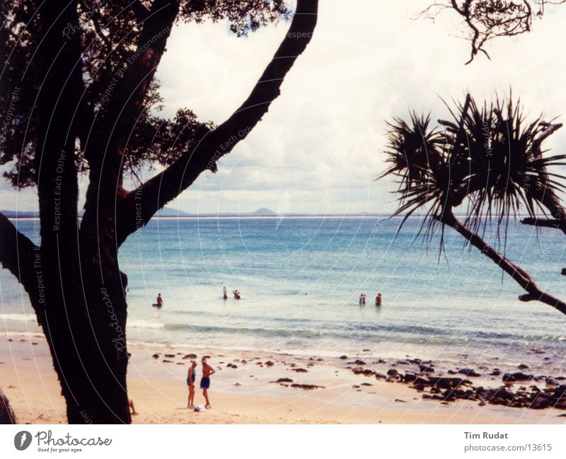 Australische Küste 2 Baum Strand Sand Mensch