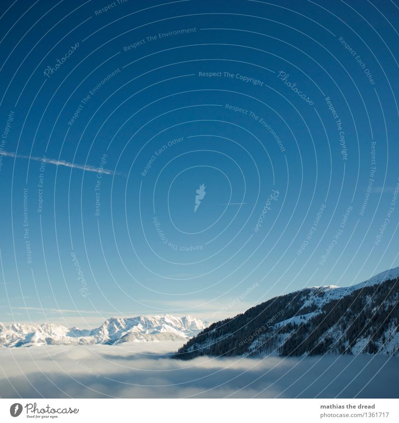 > 2000m Umwelt Natur Landschaft Himmel Wolken Winter Schönes Wetter Schnee Baum Wald Alpen Berge u. Gebirge Gipfel Gletscher Luftverkehr Flugzeug ästhetisch