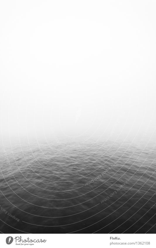Ruhe Urelemente Wasser Himmel Herbst Wetter schlechtes Wetter Nebel Wellen Küste Meer See Fluss gruselig grau ruhig Traurigkeit Tod Einsamkeit Wasseroberfläche
