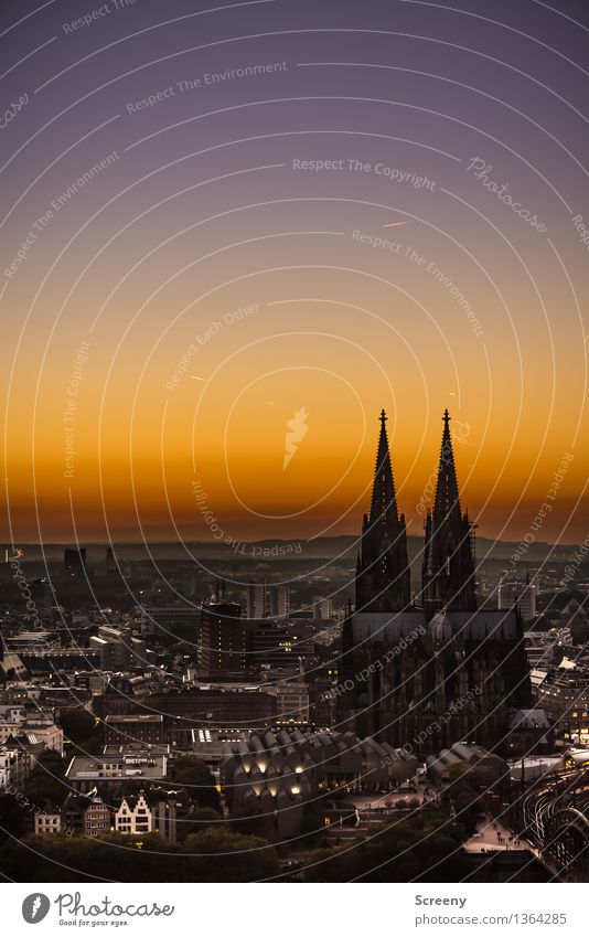 Mer losse d’r Dom en Kölle Landschaft Himmel Wolkenloser Himmel Horizont Sonnenaufgang Sonnenuntergang Sommer Herbst Schönes Wetter Köln Deutschland Europa