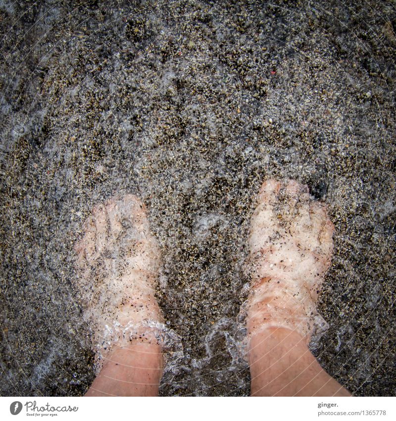 kalt | Füße im Wasser Fuß 1 Mensch Sand Frühling nackt nass Sauberkeit braun grau Haut Zehen prickeln Meerwasser Fußbad Wellen stehen marmoriert Farbfoto
