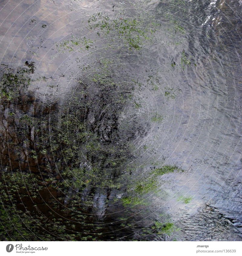 Turbulence nass Algen fließen Flüssigkeit liquide durcheinander Wetter Unwetter dunkel trist Baum Reflexion & Spiegelung Gemälde abstrakt gemalt obskur Wasser