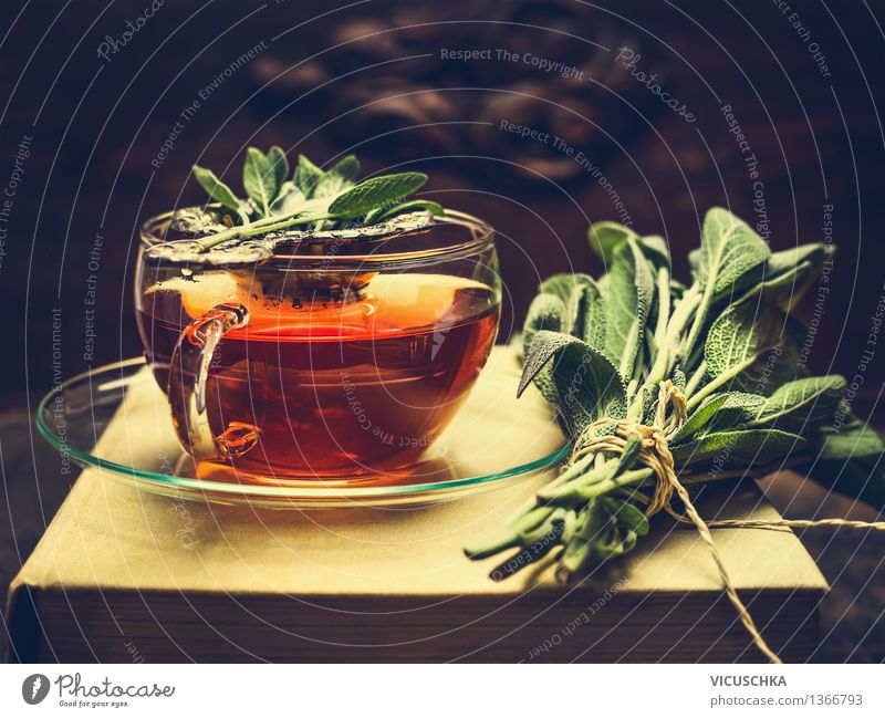 Kräutertee aus Salbei im Glastasse Lebensmittel Kräuter & Gewürze Getränk Heißgetränk Tee Teller Tasse Lifestyle Stil Design Alternativmedizin Gesunde Ernährung