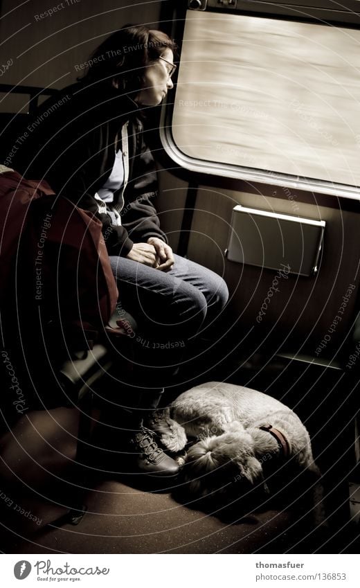 schlafende Frau mit Hund im Zug Ferien & Urlaub & Reisen Erwachsene Verkehr Bahnfahren Bus Eisenbahn Bewegung träumen Traurigkeit bescheiden Langeweile Trauer