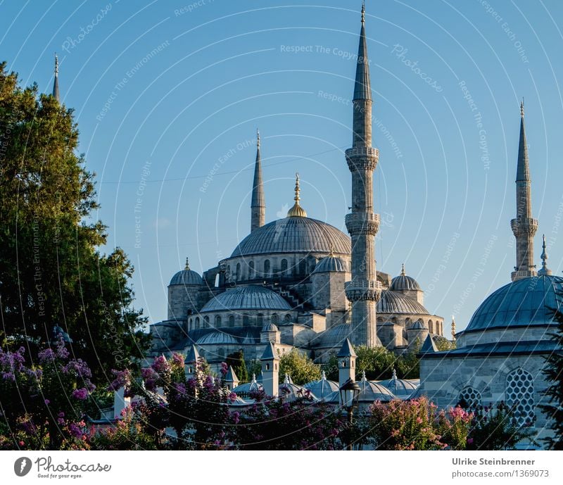 Minarette 3 Ferien & Urlaub & Reisen Tourismus Sightseeing Städtereise Istanbul Türkei Bauwerk Gebäude Architektur Moschee Turm Sehenswürdigkeit Stein Zeichen