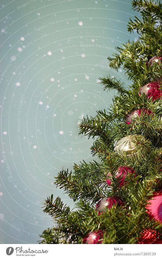 oh Tannenbaum... Feste & Feiern Weihnachten & Advent Kitsch Weihnachtsbaum Weihnachtsdekoration Weihnachtsmarkt Christbaumkugel Schnee Schneefall Schneeflocke