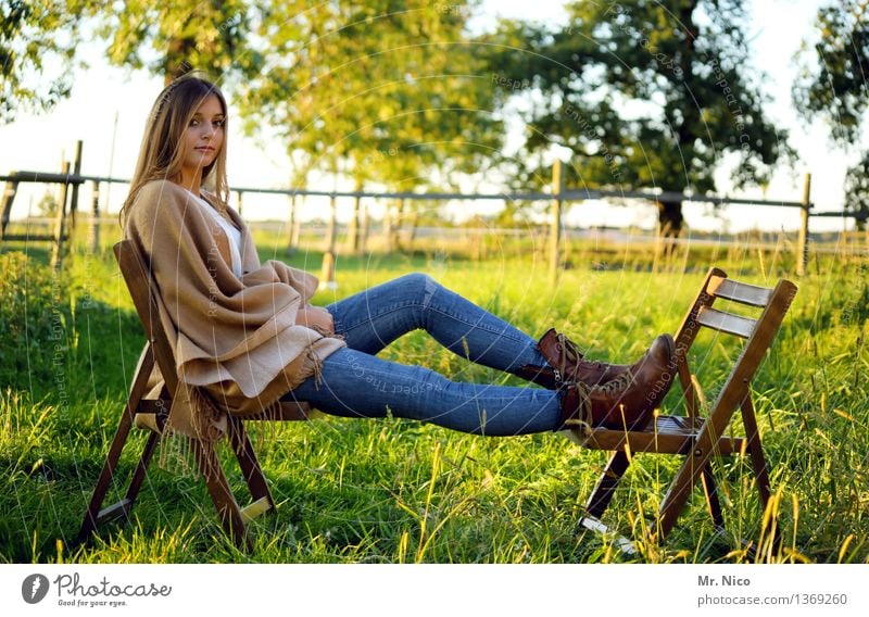 aufs ende warten. Wiese Gras Baum Natur langhaarig Stuhl Weide Pause sitzen grün genießen Wärme Coolness sommerlich Erholung Sommer ruhig Mode schön ländlich