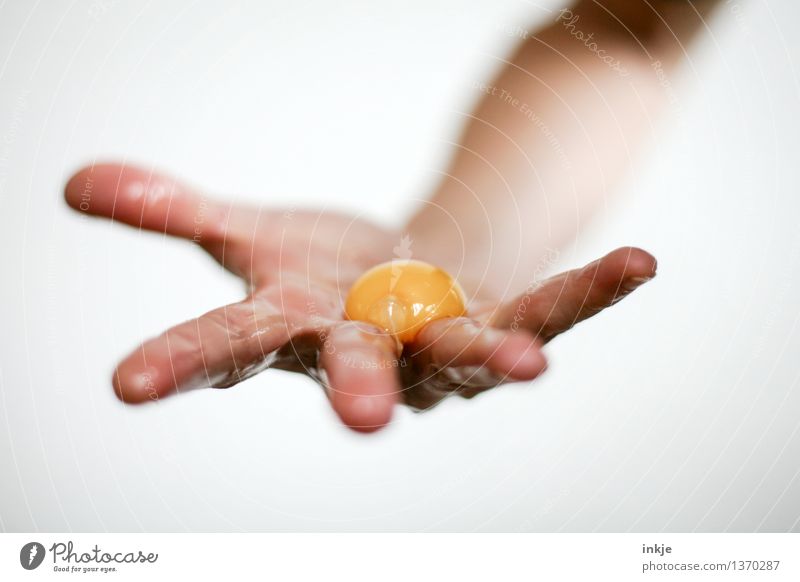 Man nehme ein Ei Lebensmittel Eigelb roh Ernährung Zutaten Lifestyle Erwachsene Hand Finger festhalten Ekel orange Glätte zeigen Farbfoto Innenaufnahme