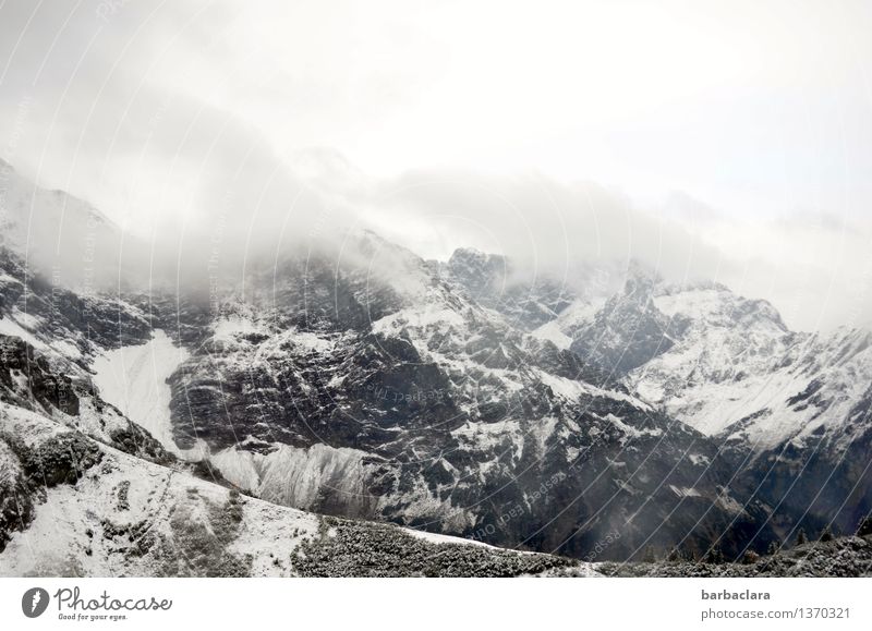 kalt | auf der Kanzelwand Natur Landschaft Urelemente Erde Luft Himmel Wolken Nebel Schnee Felsen Alpen Berge u. Gebirge Allgäuer Alpen Schneebedeckte Gipfel