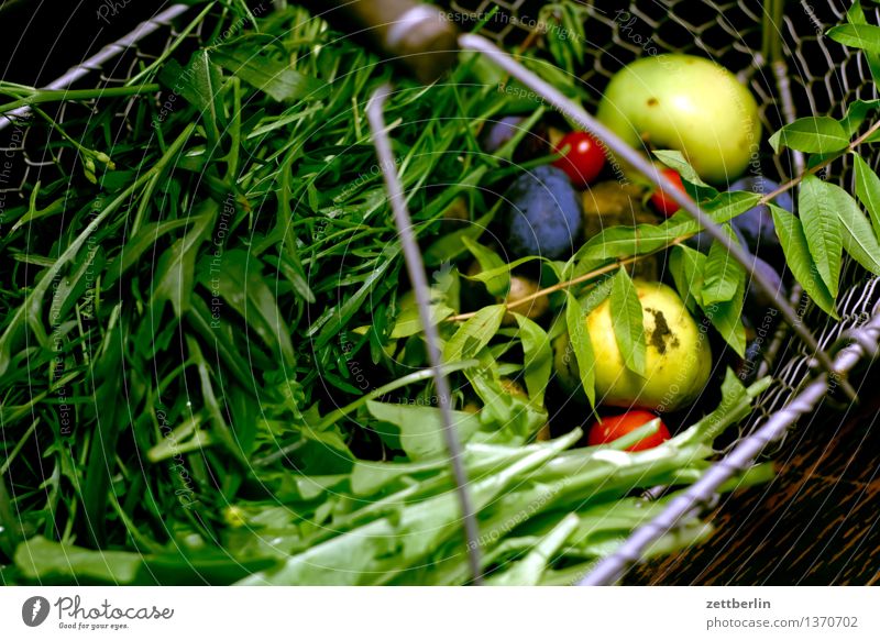 Spätlese Garten Schrebergarten Frucht Versorgung selbstversorgung Gesunde Ernährung Speise Essen Foodfotografie Ernte Erntedankfest Vegetarische Ernährung
