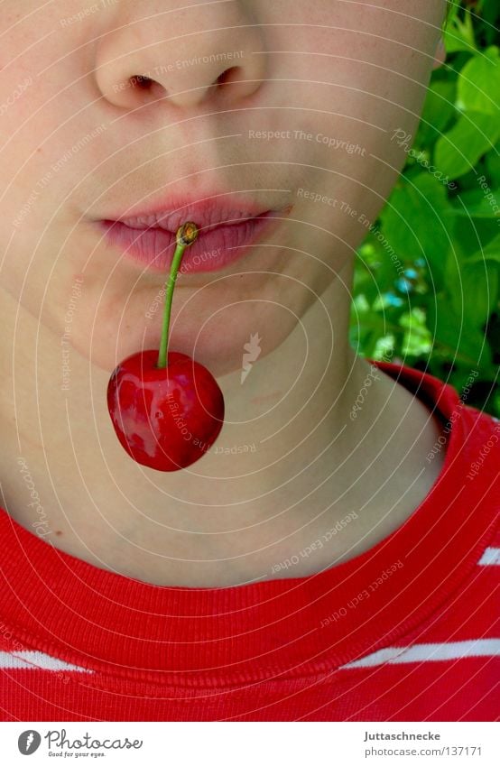 250 / Mon Cherie Junge Kirsche Sommer Gesundheit süß rot gepflückt grün Stengel Kind Freude Frucht Gesicht Mund Nase Kirschenzeit Ernährung Ernte Weichsel