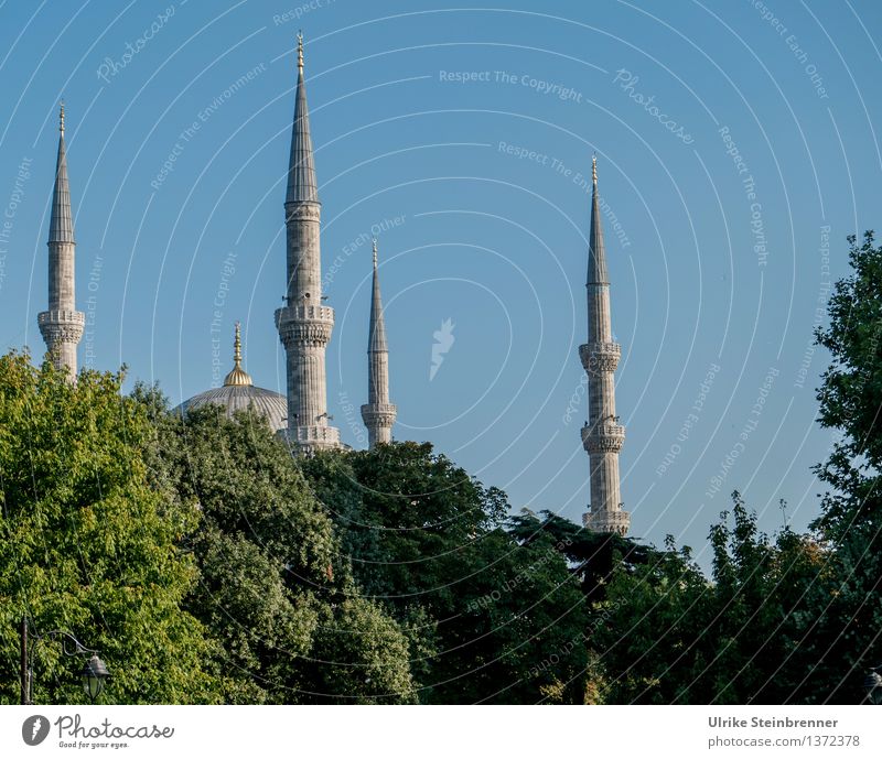Minarette 1 Ferien & Urlaub & Reisen Tourismus Sightseeing Städtereise Istanbul Türkei Stadtzentrum Bauwerk Gebäude Architektur Moschee Turm Sehenswürdigkeit