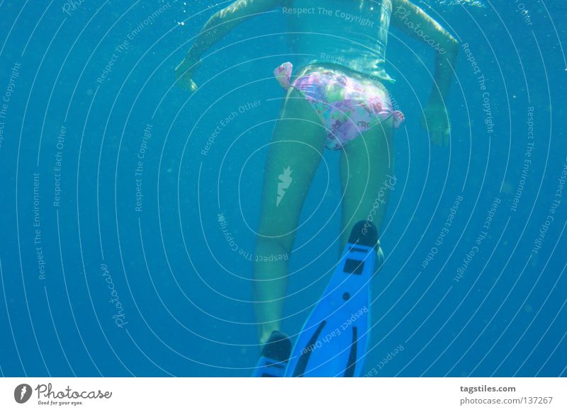NICE, T(W)OO schön tauchen Schnorcheln Malediven Indien Meer Frau Bikini Gesäß Sonnenstrahlen Sonnenlicht Lichtbrechung Wasser Wellen Ferien & Urlaub & Reisen