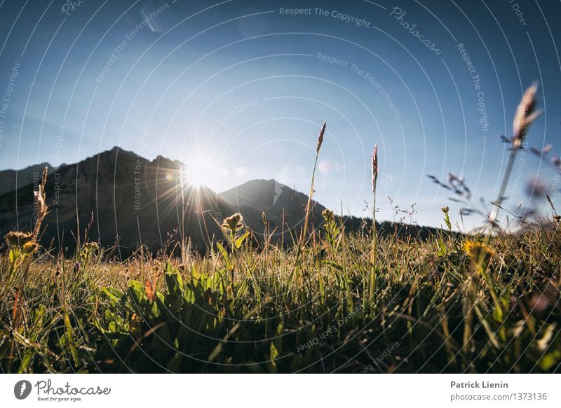 Morgendstund Ferien & Urlaub & Reisen Umwelt Natur Landschaft Urelemente Himmel Sonne Sonnenaufgang Sonnenuntergang Sommer Klima Klimawandel Wetter