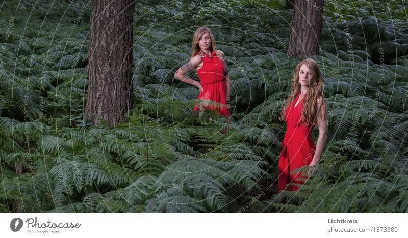 Zwei Mädchen im Wald Mensch feminin Junge Frau Jugendliche Körper 2 18-30 Jahre Erwachsene Natur Sommer Baum Farn Mode Kleid Stoff Haare & Frisuren blond
