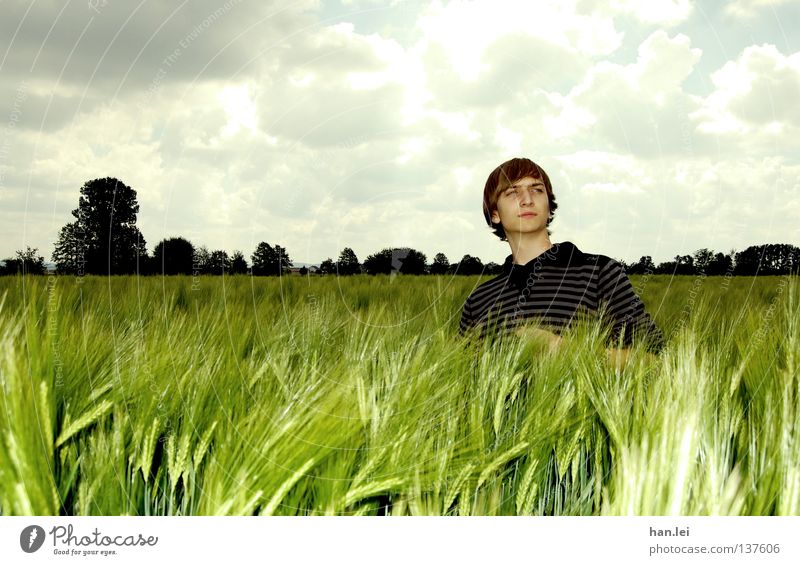 Posing Deluxe Getreide Bioprodukte schön Ferne Junger Mann Jugendliche Erwachsene Landschaft Himmel Wolken Frühling Feld atmen Körperhaltung Photo-Shooting