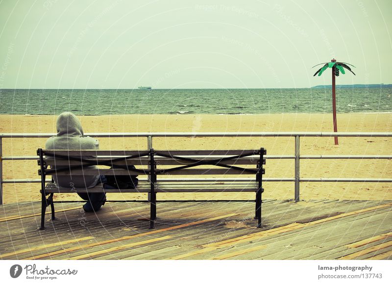 Strandgeschichten New York City Manhattan Amerika Ferien & Urlaub & Reisen Palme Meer Sandstrand ruhig Erholung Pause Sitzgelegenheit Uferpromenade Kapuze Mann