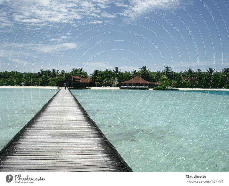 Connection Malediven Meer Palme Strand Brücke Ferne Himmel Verbindung