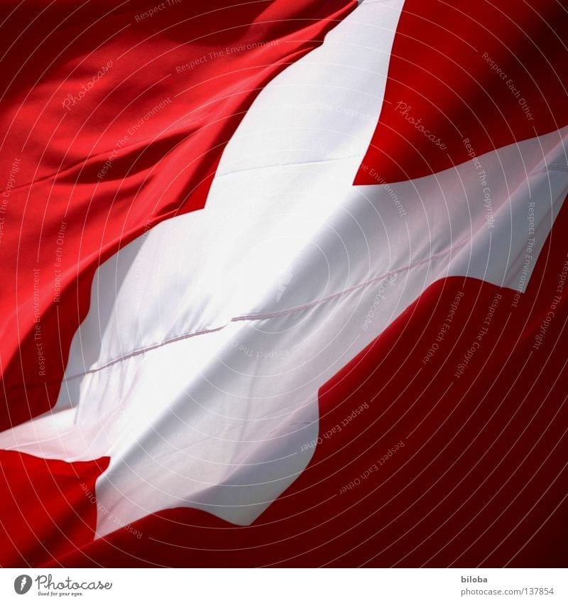 EM-Sieger 08! Fahne Schweiz Schweizerflagge Alpen Symbole & Metaphern Europa Meister Erfolg rot weiß Kreuz Sturm Wind flattern Eidgenosse Ballsport