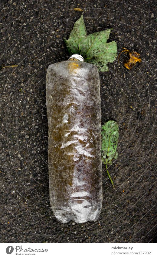 plastic is no future Müll Blatt dreckig Umwelt Umweltsünder Sünder Liter England Statue Flasche bottle dirt waste Straße street Bodenbelag bottom leaves