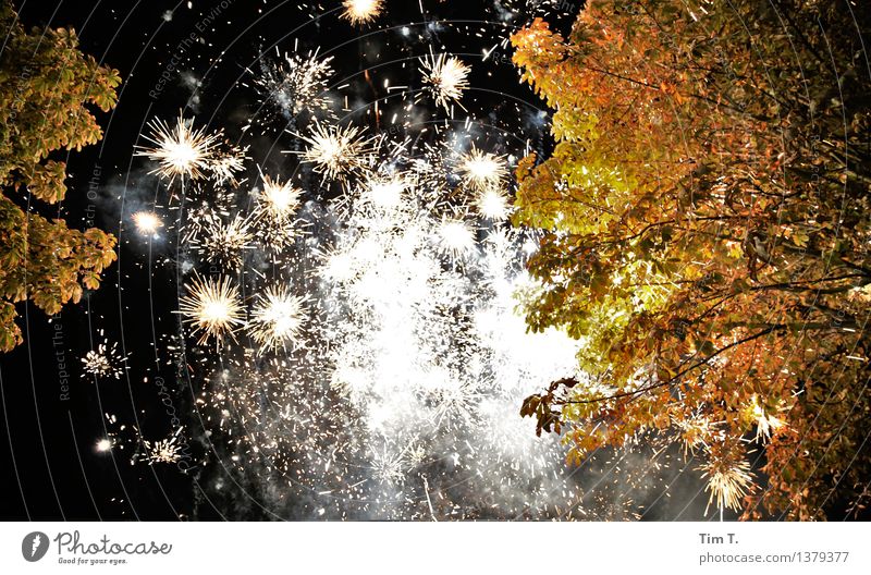 Geburtstag Baum Glück Feuerwerk Kastanienbaum Nachtleben Farbfoto Außenaufnahme Menschenleer Licht Lichterscheinung