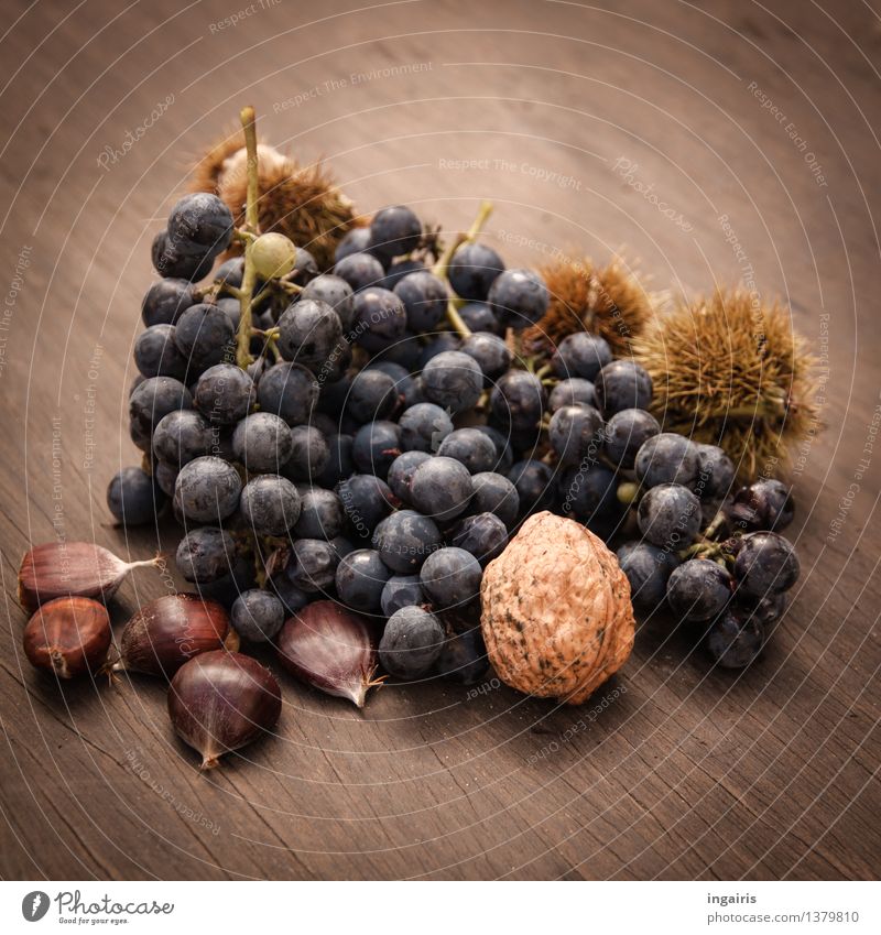 Schmackhaft Herbstliches Lebensmittel Frucht Weintrauben Maronen Walnuss Pflanze genießen liegen frisch Gesundheit natürlich rund saftig stachelig blau braun