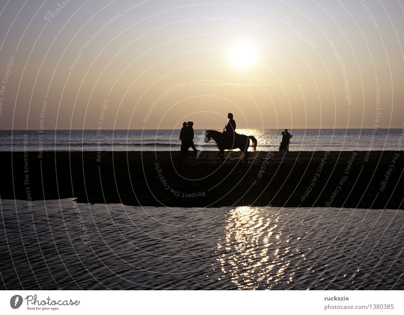 Reiter am Meer Spa Tourismus Strand Wellen Reitsport Natur Landschaft Tier Sand Wasser Sonnenaufgang Sonnenuntergang Küste Nordsee See Pferd wandern