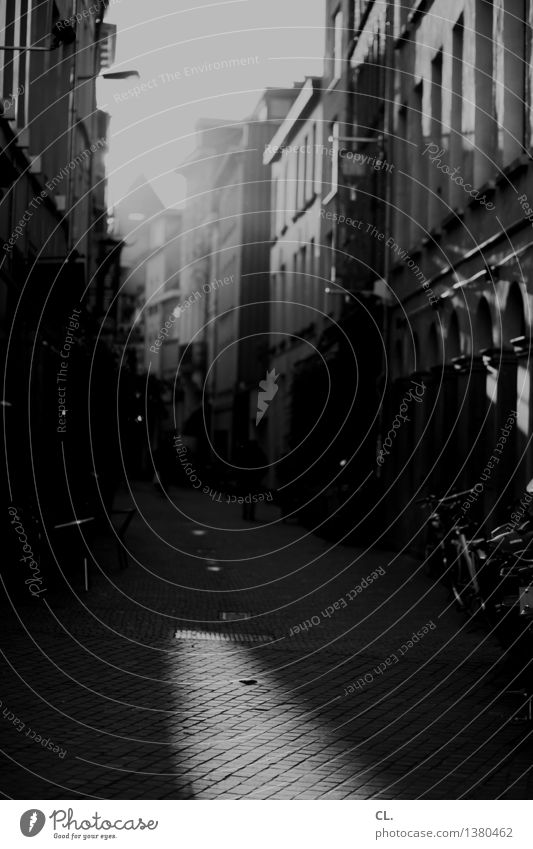 antwerpen Antwerpen Stadt Haus Verkehrswege Straße Wege & Pfade Fahrrad Schwarzweißfoto Außenaufnahme Tag Licht Schatten Sonnenlicht