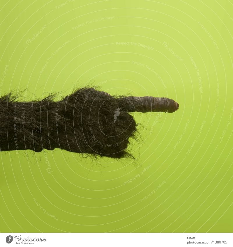 Du da, ja du! Freude Karneval Halloween Arme Hand Tier Urwald Fell Behaarung Zeichen lustig verrückt wild grün schwarz Identität Kommunizieren Affen Gorilla