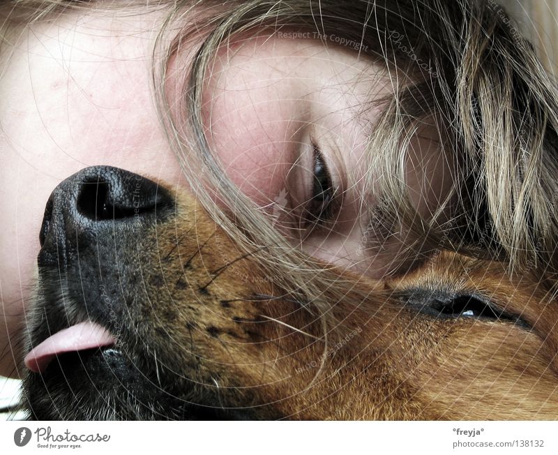 mein hund und ich Hund Kuscheln Zufriedenheit Freude schnuffel hundezunge Haare & Frisuren harzerfuchs