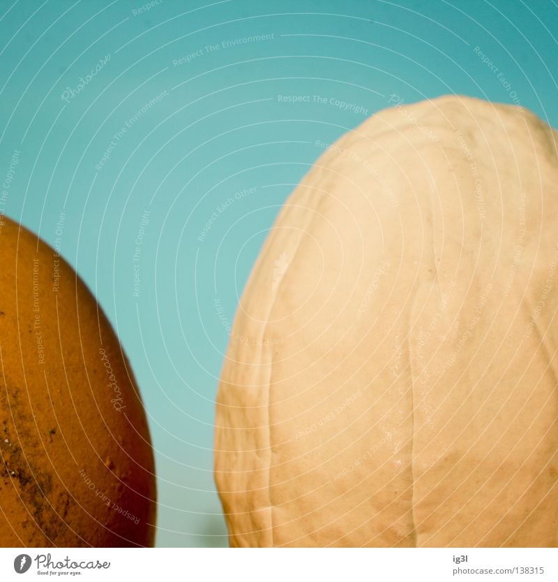 Generationskonflikt Hühnerei Makroaufnahme Bildausschnitt Anschnitt Eierwärmer Vor hellem Hintergrund