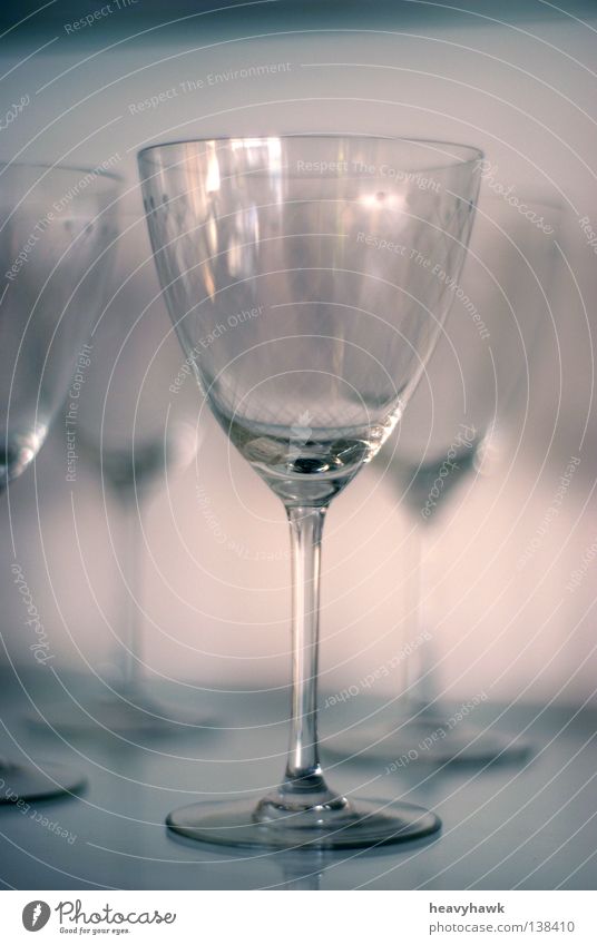 Glasvitrine im kühlen Lichtschein Sekt Champagner Vitrine kalt Alkohol Champus Reihe