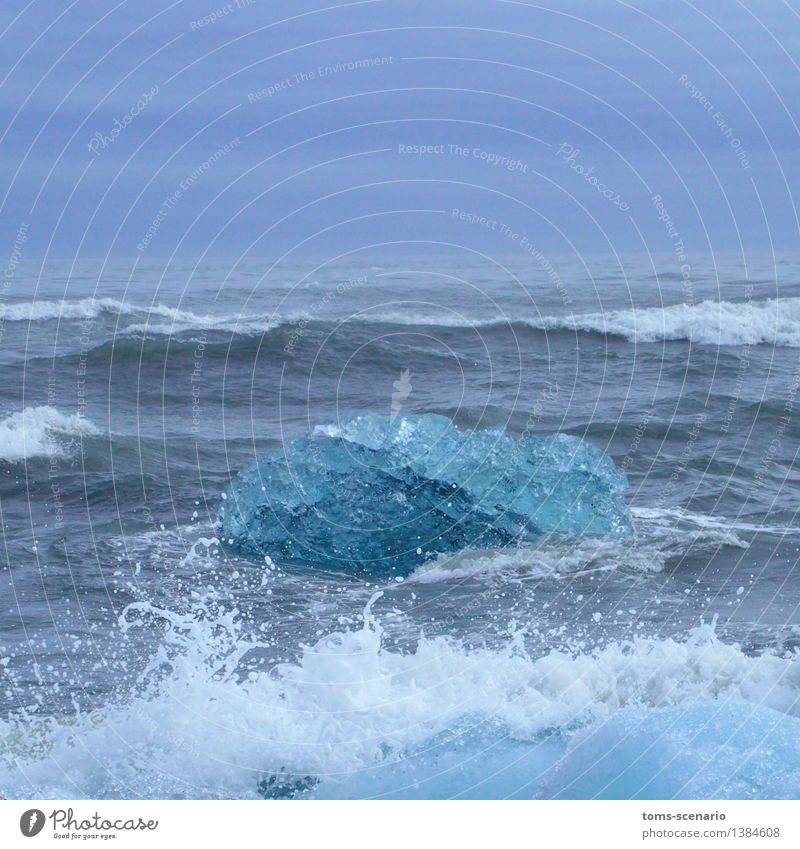 Eistopas Natur Landschaft Urelemente Wasser Frost Wellen Küste Meer Nordatlantik Kristalle Kostbarkeit ästhetisch fest Flüssigkeit glänzend kalt natürlich schön