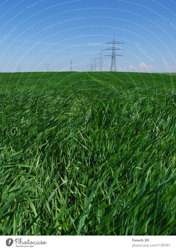 Überall Strom Wolken Feld Hochspannungsleitung Elektrizität Strommast Stahl Sachsen-Anhalt Horizont Gras Himmel Sturm Landschaft Natur Elektrisches Gerät