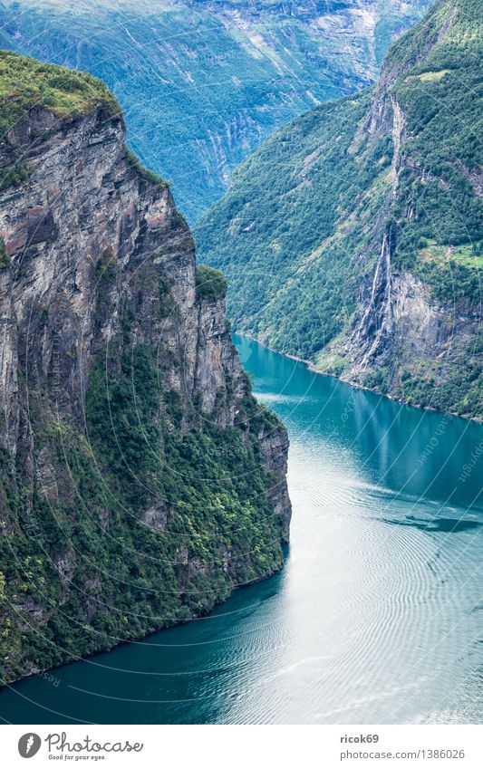 Geirangerfjord Erholung Ferien & Urlaub & Reisen Berge u. Gebirge Natur Landschaft Wasser Wolken Fjord Idylle Tourismus Norwegen Møre og Romsdal Reiseziel