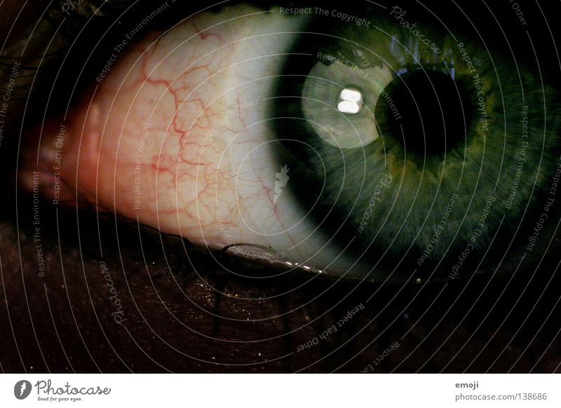 O_O Gefäße Ekel nah Makroaufnahme Pupille schwarz dunkel Lampe Reflexion & Spiegelung rund Nahaufnahme rot Konjunktivitis Kontaktlinse grün Auge anwidernd wäh