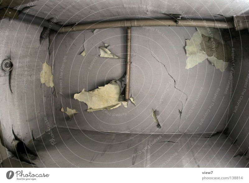 Badezimmerdecke Raum Zimmerdecke Putz Verfall ästhetisch Aussehen Zeit Zerstörung klein Oberfläche verfallen Spinne Spinnennetz Zahn der Zeit Vergangenheit