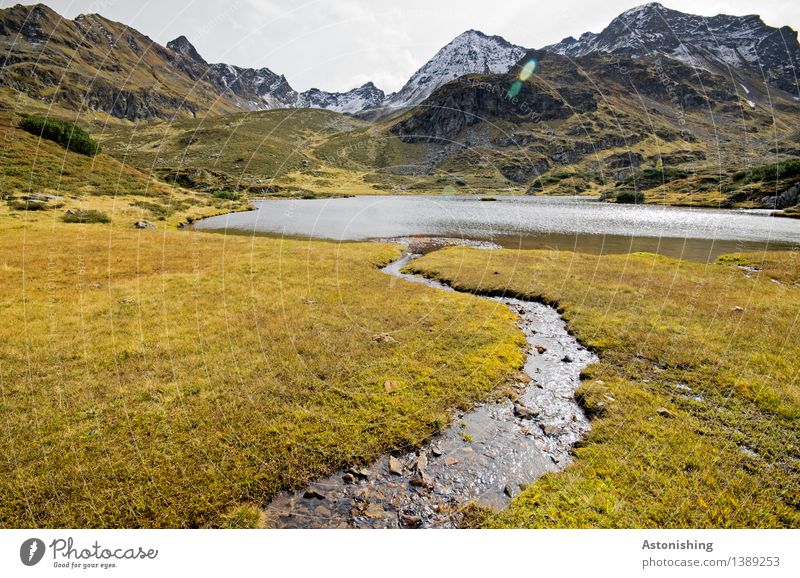 Zufluss zum Gebirgssee I Umwelt Natur Landschaft Pflanze Erde Wasser Himmel Wolken Horizont Herbst Wetter Gras Sträucher Wiese Hügel Felsen Alpen