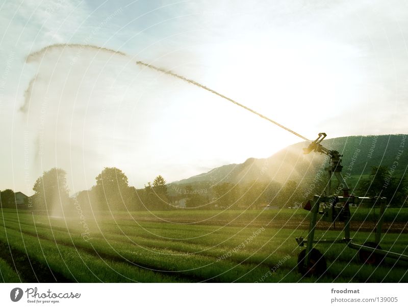 regenmacher Wasserpistole spritzen spritzig Sommer Gegenlicht Gewehr Kanonen nass Erfrischung Landwirtschaft Bewässerung Waffe gefroren Strahlung Kraft Macht