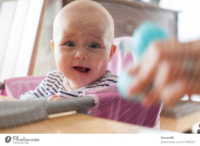 Häääää? Mensch feminin Baby 1 0-12 Monate Glatze lachen Fröhlichkeit Neugier Gefühle Freude Glück Zufriedenheit Lebensfreude Begeisterung Interesse lustig