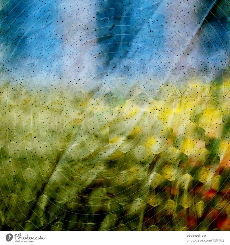 vorzelt vista Fenster abstrakt Bad gelb Camping Muster Furche Falte Sommer plastic window blau shower Musikfestival Ausflug Detailaufnahme corn Regen field